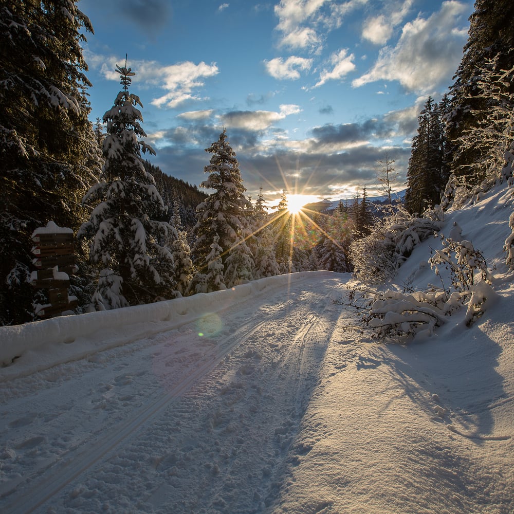Wandern ab dem Hotel