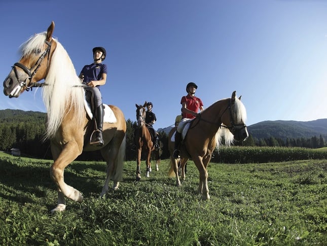 Reiturlaub Südtirol