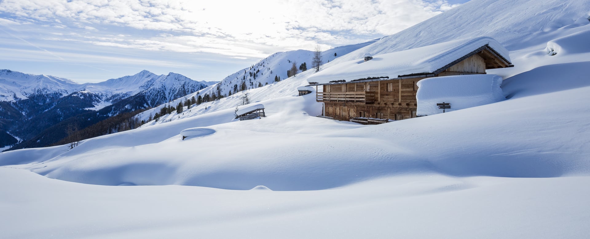 Attività guidate nella natura