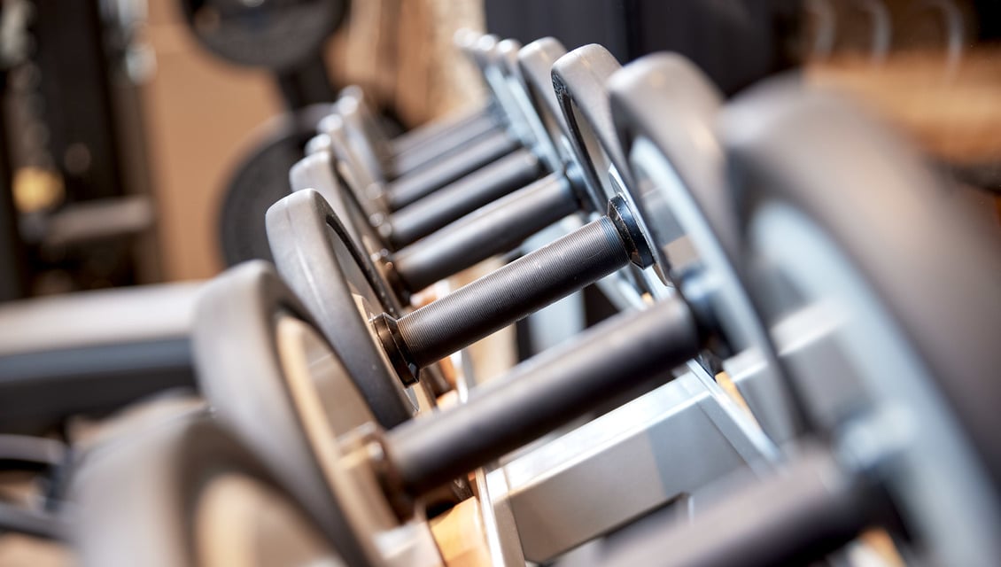 An der Quelle der Fitness