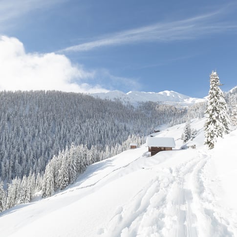 Découvrir la Valle di Casies à pied