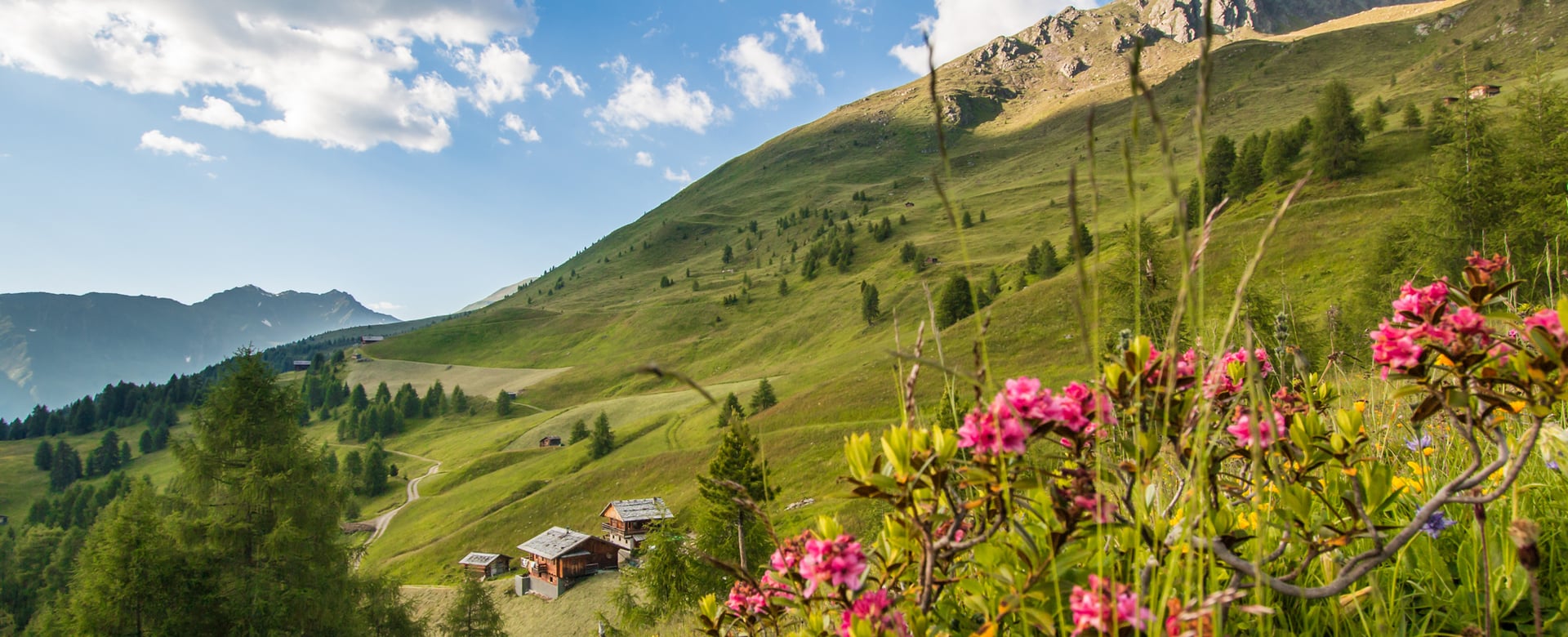 The valley of beautiful rustic refuges