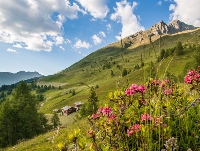 Il fascino delle malghe in Val Casies
