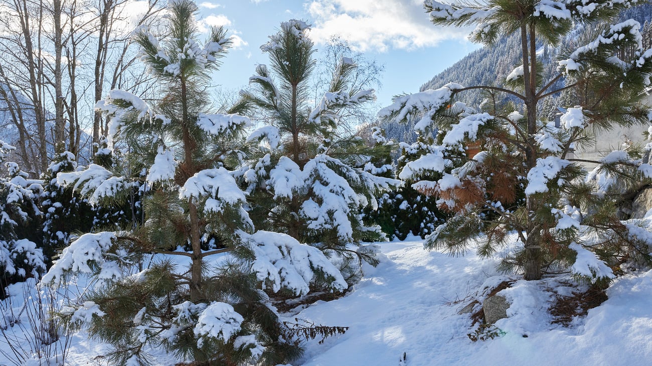 Weihnachten in Südtirol