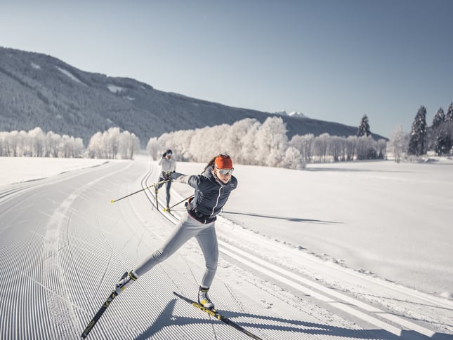 Quelle Cross Country School