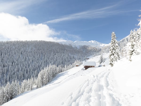 Active Weeks in winter