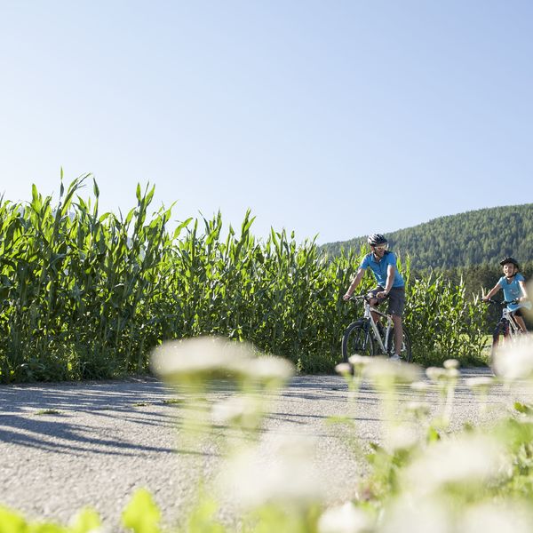 Nuova pista ciclabile nella Valle di Casies